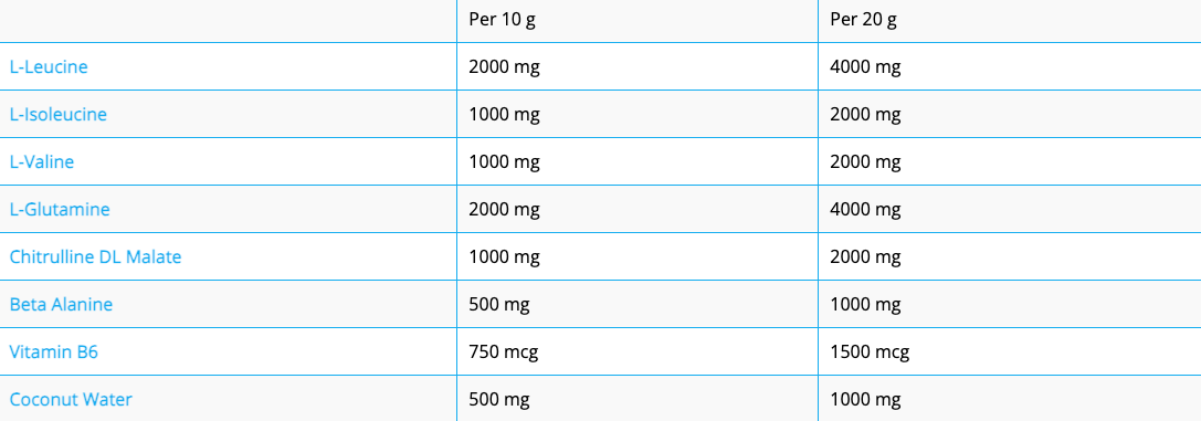 NXT AMINO FUEL 300g